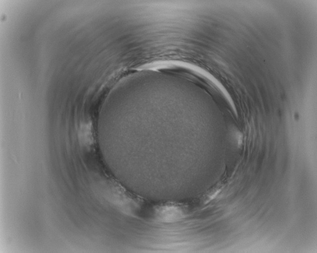 X0000070410224200606161419