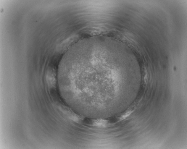 X0000070410226200606161419