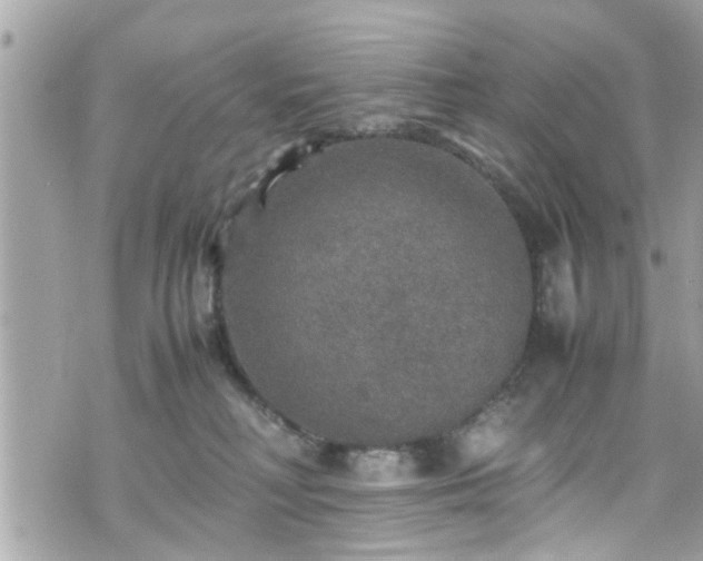 X0000070410230200606161419