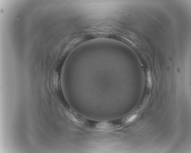 X0000070410231200606161419