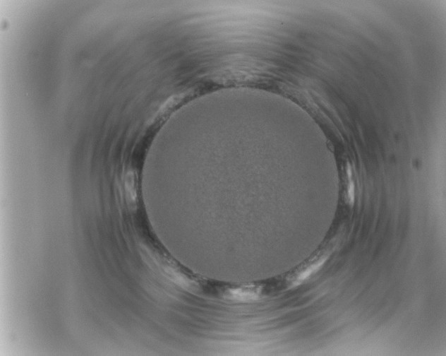 X0000070410232200606161419