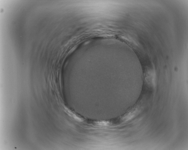 X0000070410233200606161419