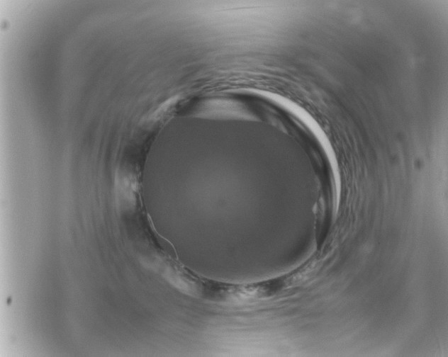 X0000070410235200606161419