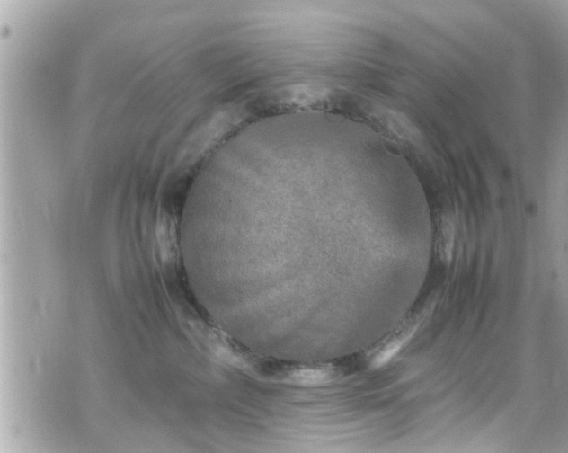 X0000070410236200606161419