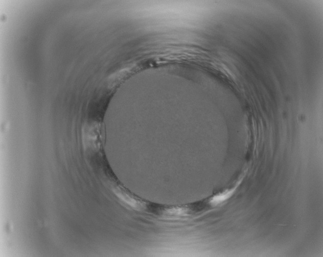 X0000070410237200606161419