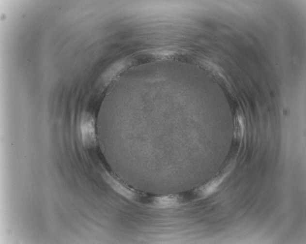 X0000070410238200606161419