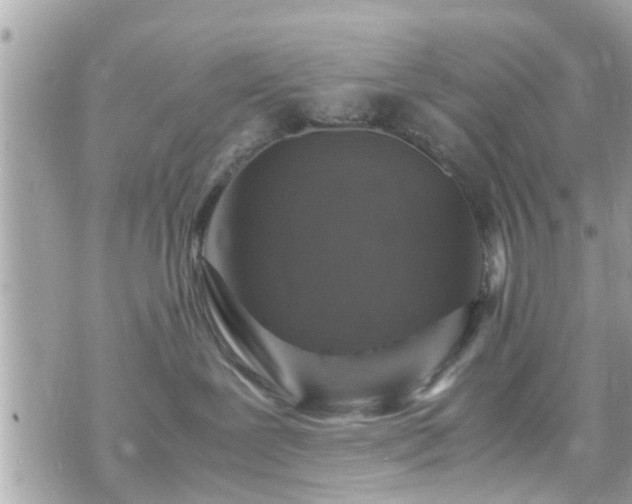 X0000070410239200606161419