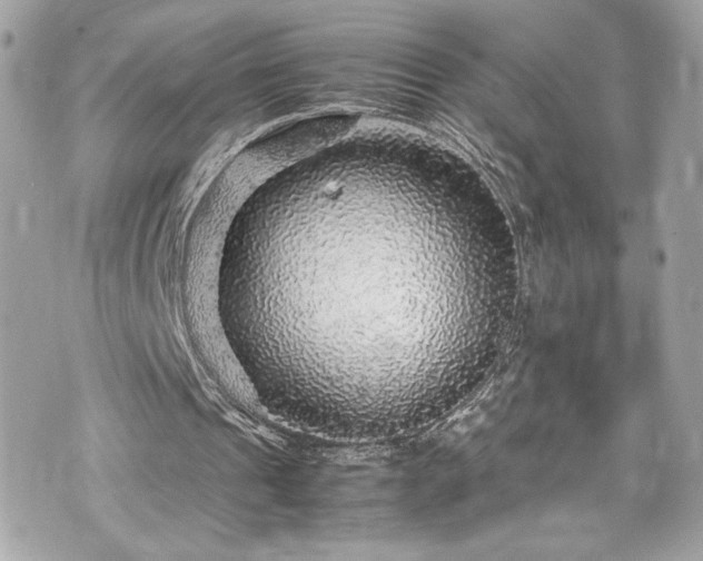 X0000070410241200606161418