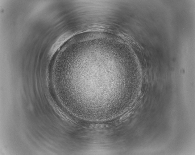 X0000070410242200606161418