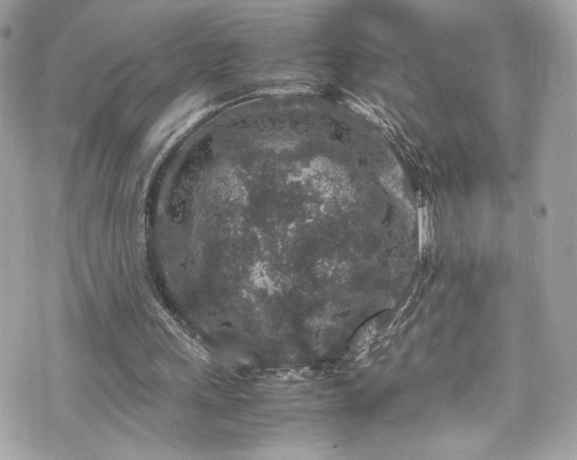 X0000070410243200606161418