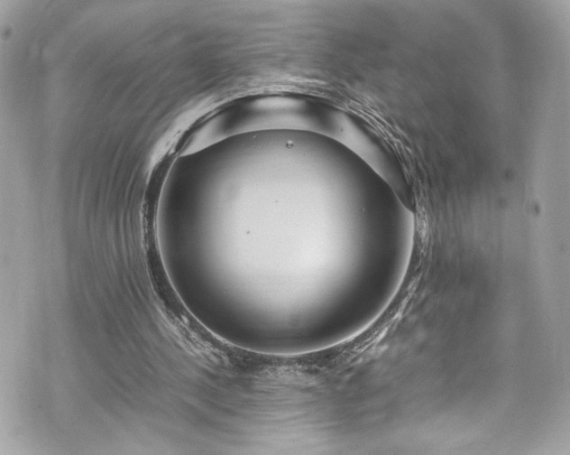 X0000070410244200606161418