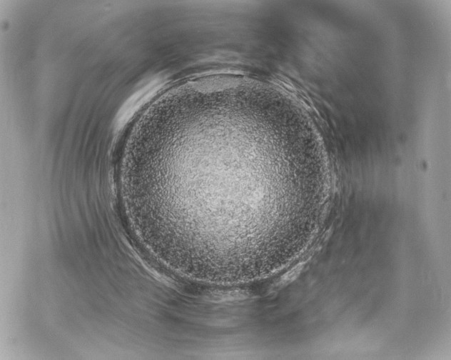 X0000070410245200606161418