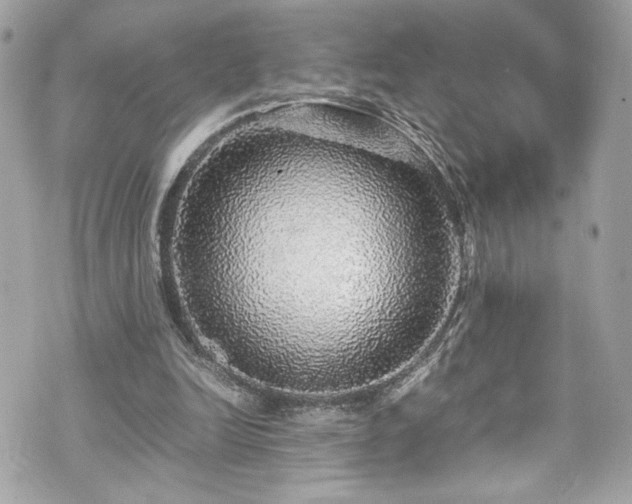 X0000070410246200606161418