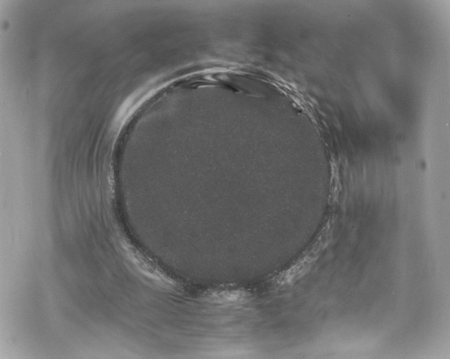 X0000070410247200606161418