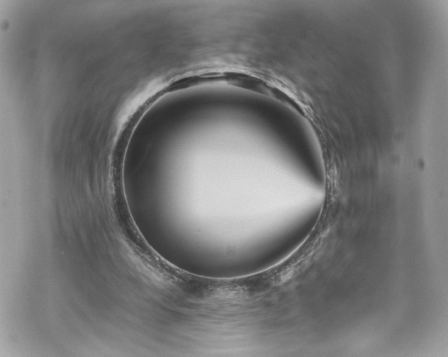 X0000070410248200606161418