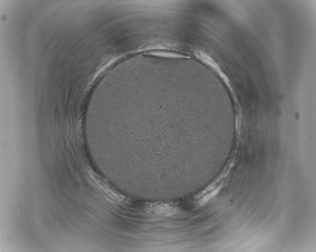 X0000070410249200606161418