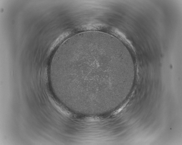 X0000070410250200606161418