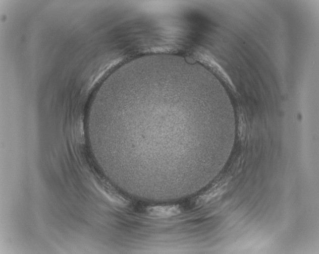 X0000070410251200606161418