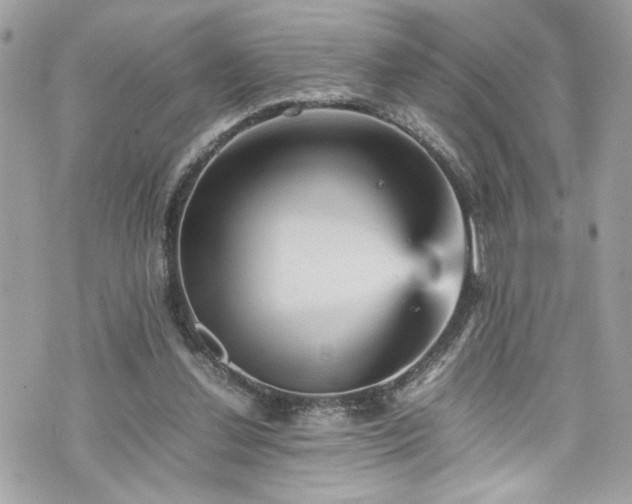 X0000070410252200606161418