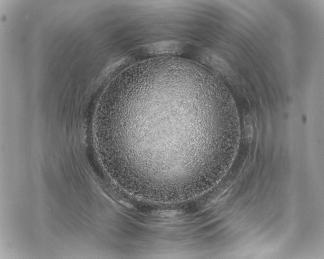 X0000070410255200606161418