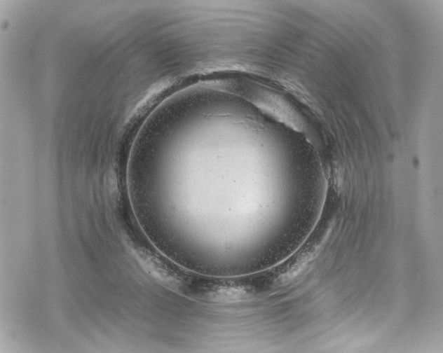 X0000070410256200606161418