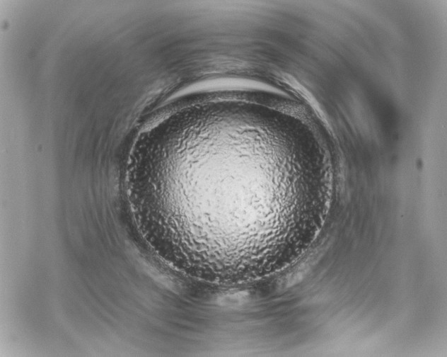 X0000070410257200606161419