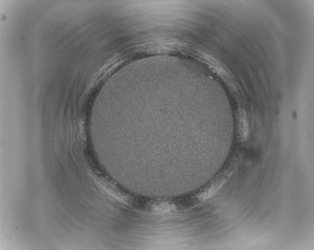 X0000070410258200606161419