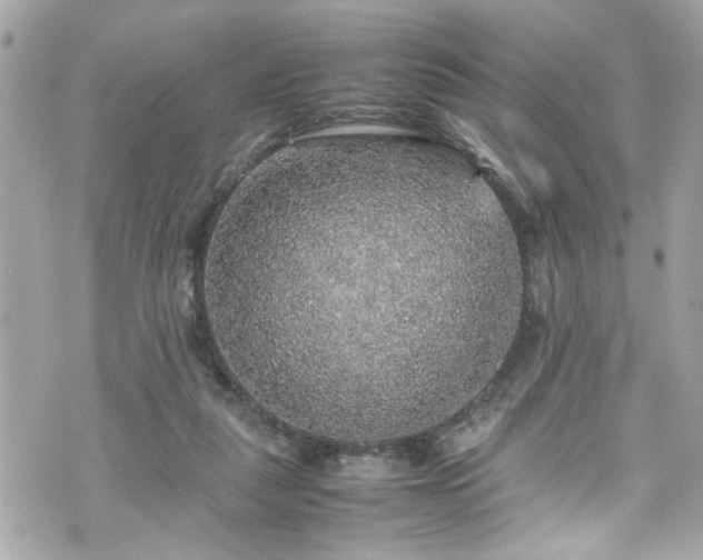 X0000070410259200606161419