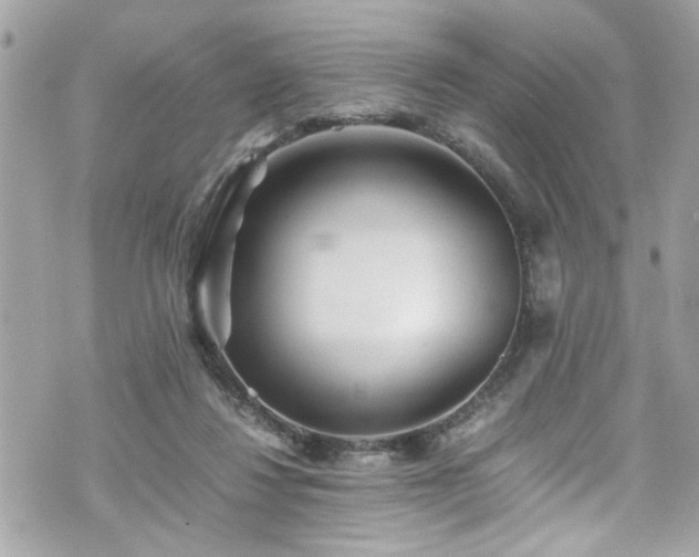 X0000070410260200606161419