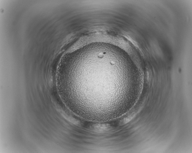 X0000070410261200606161419