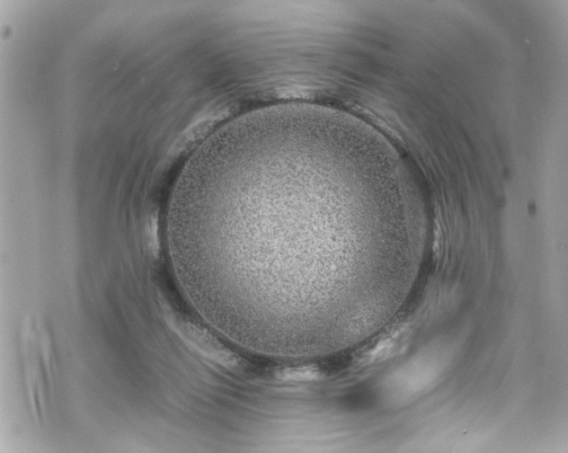 X0000070410262200606161419