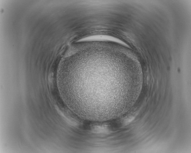 X0000070410263200606161419