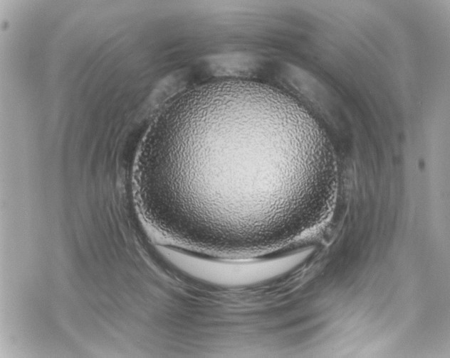 X0000070410265200606161419