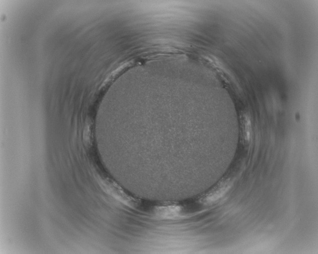 X0000070410266200606161419