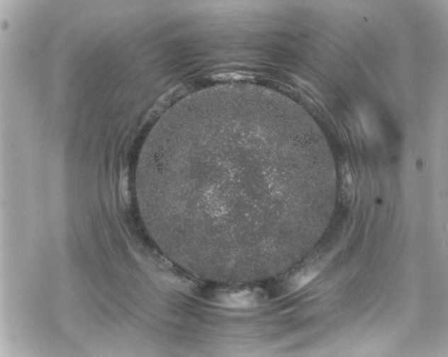 X0000070410267200606161419