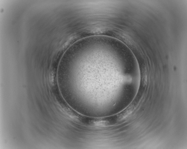 X0000070410268200606161419