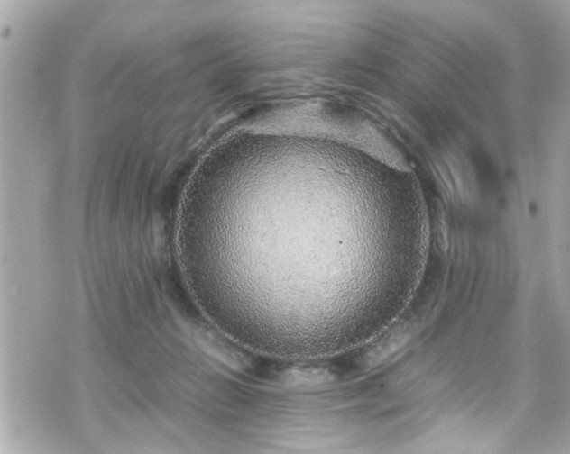 X0000070410270200606161419