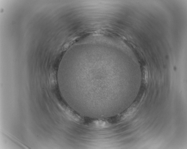 X0000070410272200606161419