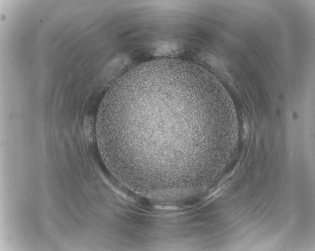 X0000070410273200606161419