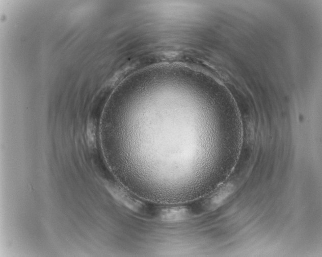 X0000070410274200606161419