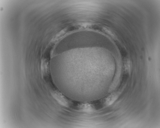 X0000070410276200606161419