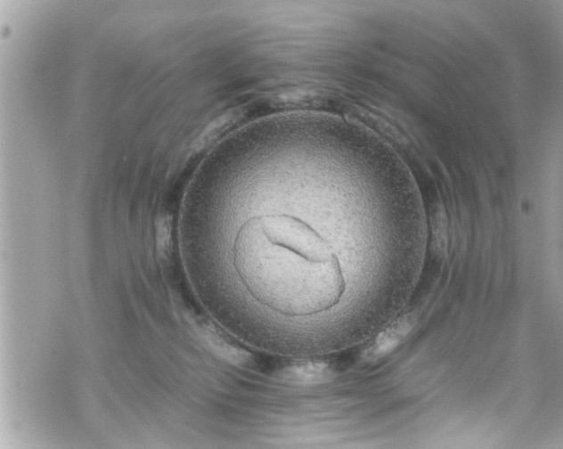 X0000070410278200606161419