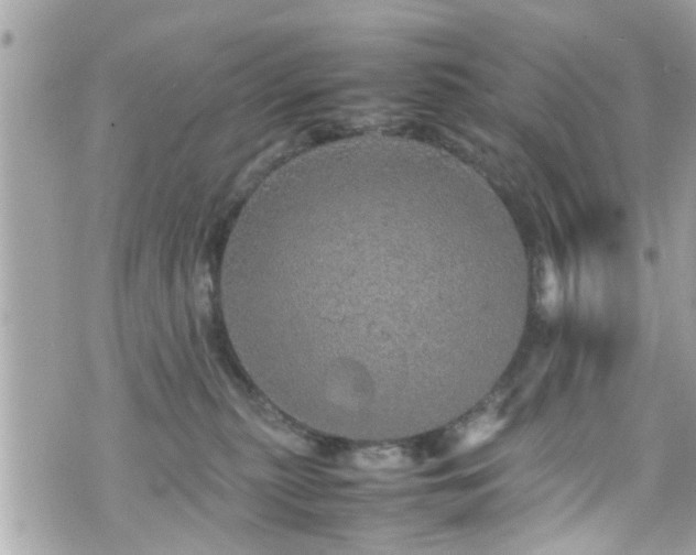 X0000070410279200606161419