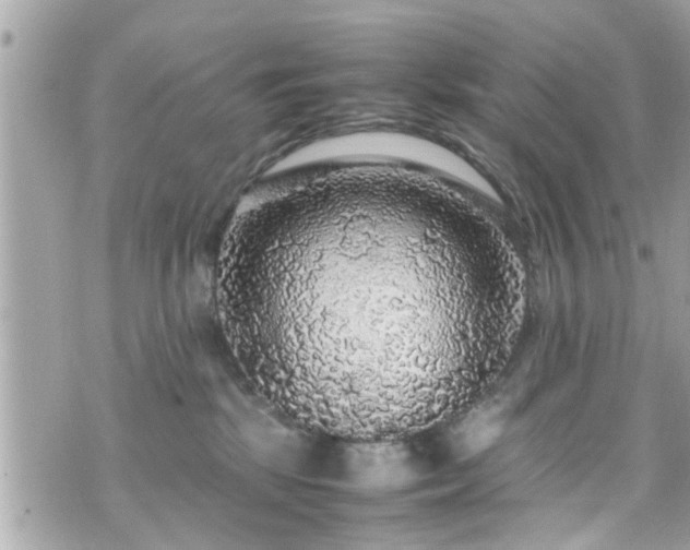 X0000070410281200606161419