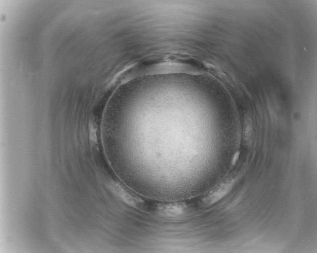 X0000070410282200606161419