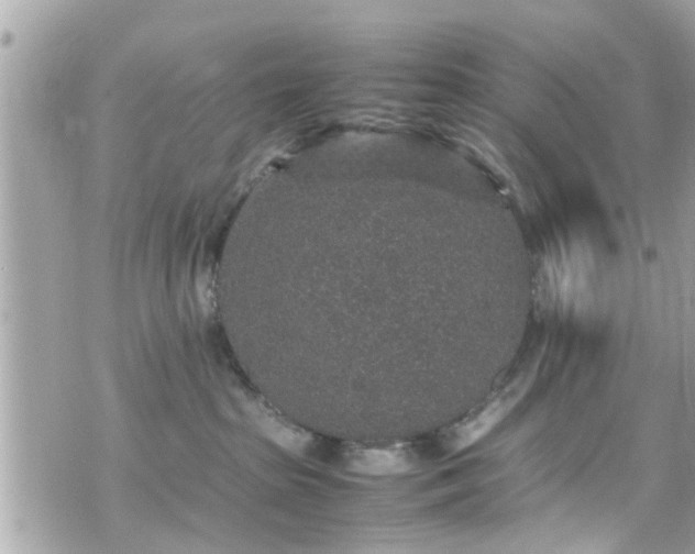 X0000070410285200606161419