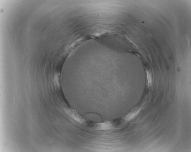 X0000070410286200606161419