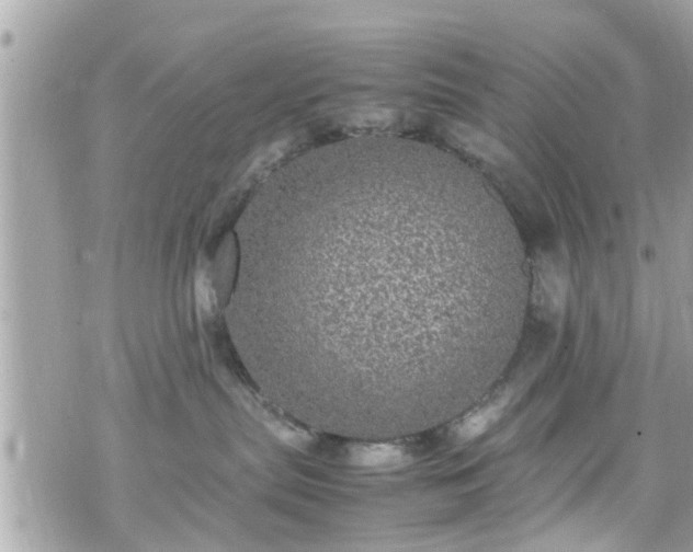 X0000070410287200606161419