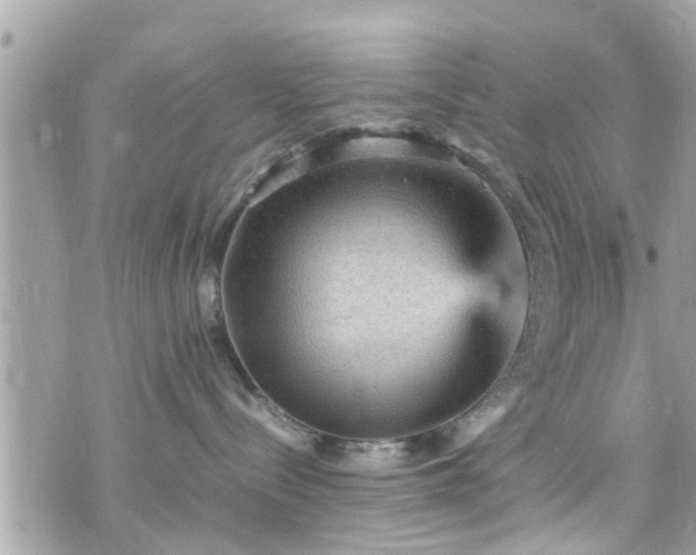 X0000070410288200606161419