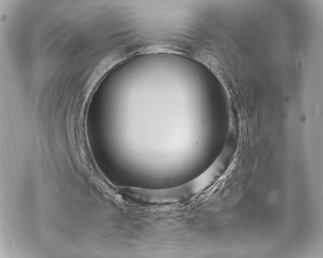 X0000070410289200606161418